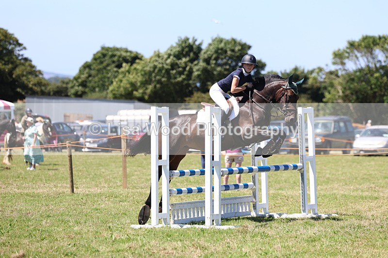 3E7A5520 - Class 9: Senior British Novice/90cm open