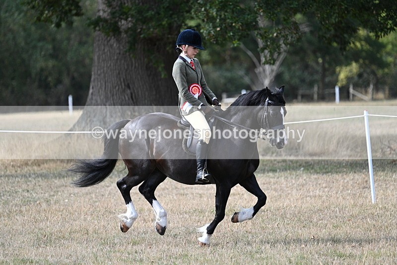 WJ7_7697 - Ridden Championship