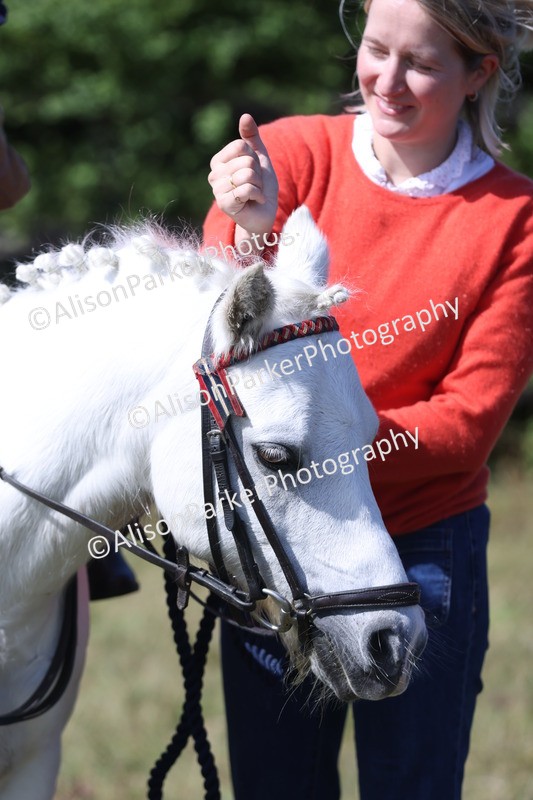 20250831-3209 - Class 24 - Absolute Beginners Pony