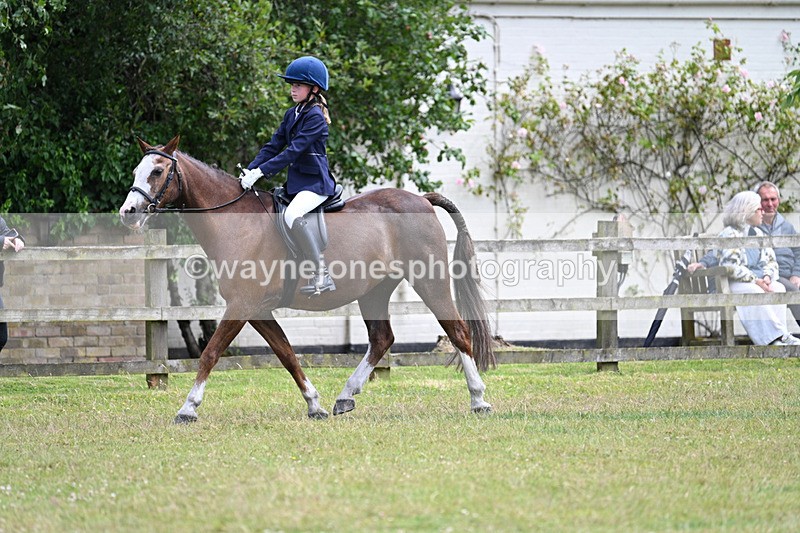 WJ7_9628 - Class 8 Ridden Veterans