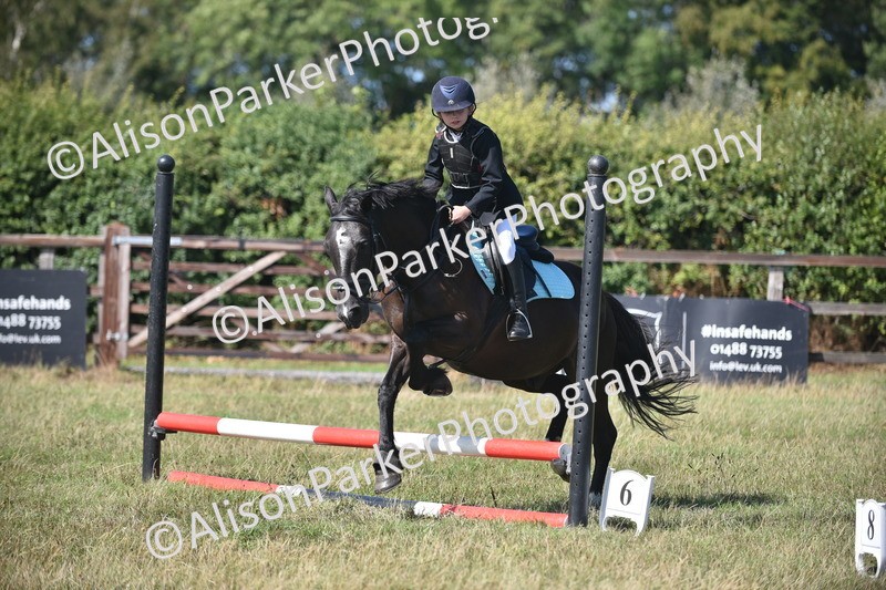 20260906-1698 - Class 9 - Absolute Novice Jumping 45cm