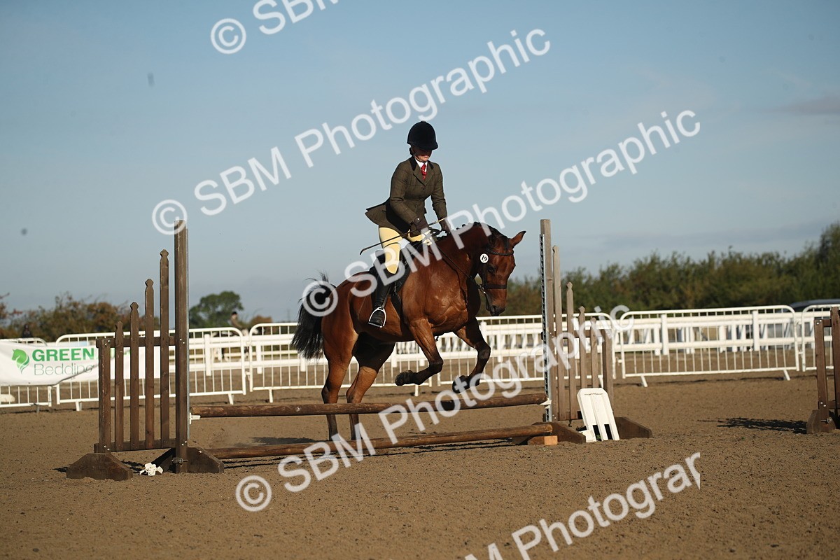 SBM_11556 - Class 502 - Riding Club Horse