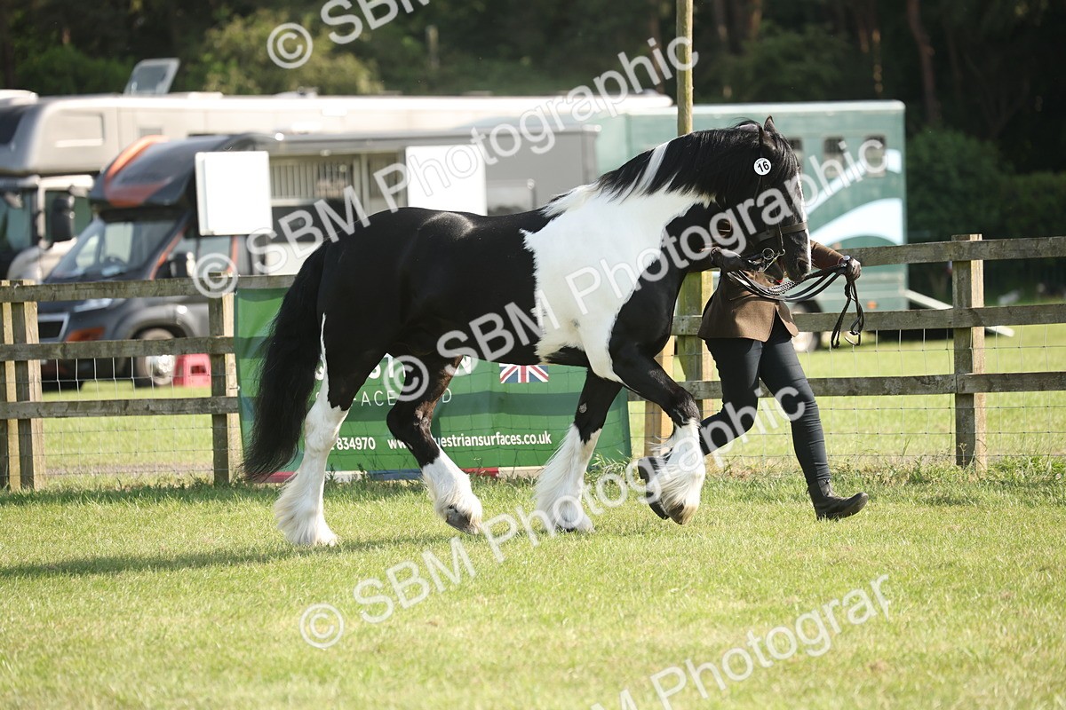SBM_10400 - Class 33-38 - SSADL RIHS Qualifiers