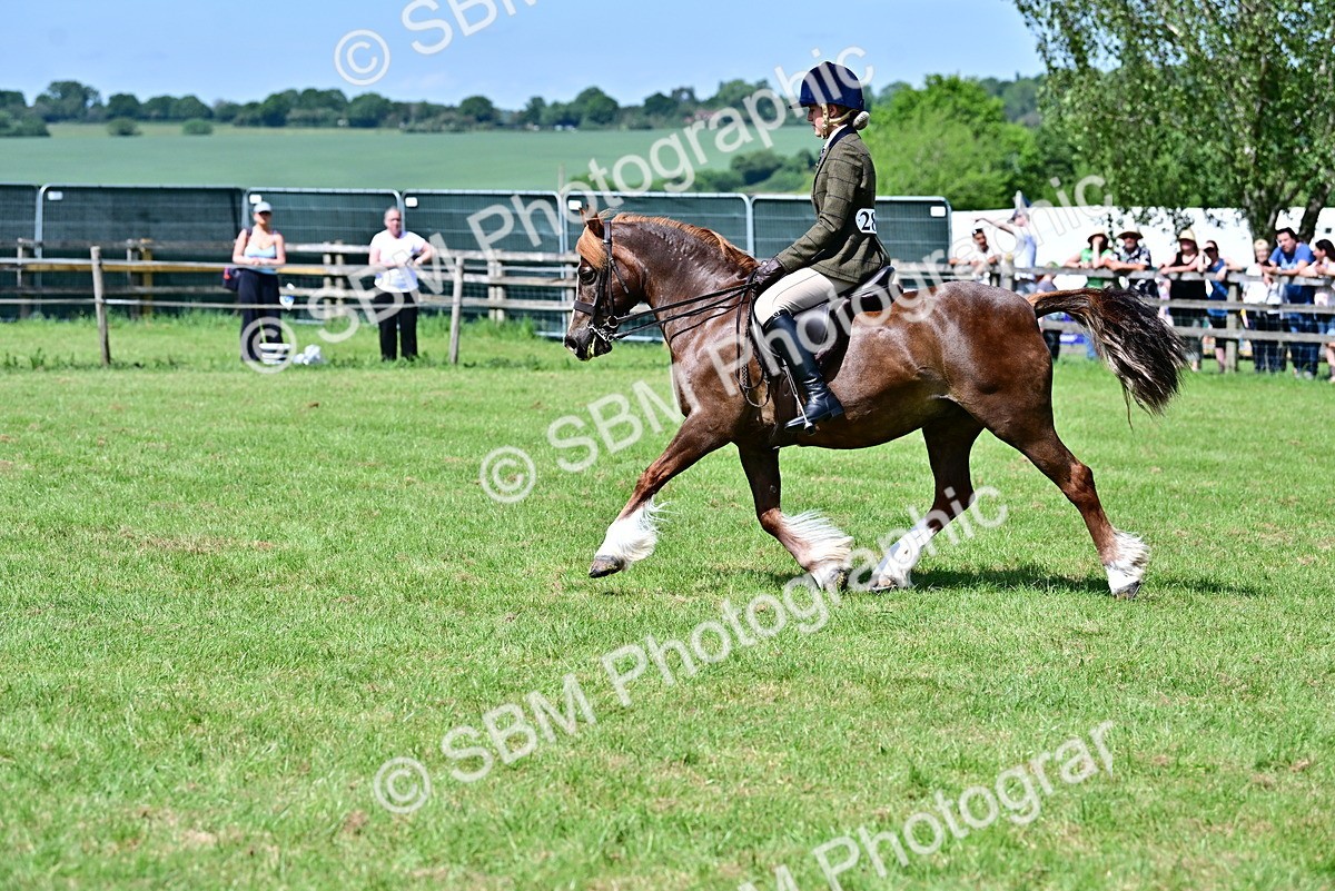 SBM_07945