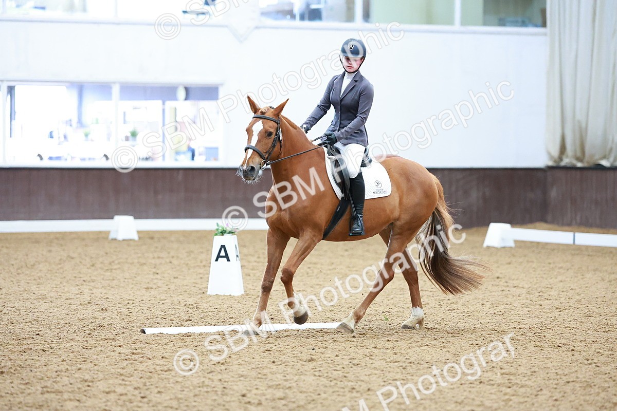 SBM_000973 - Class 12 - Novice 2