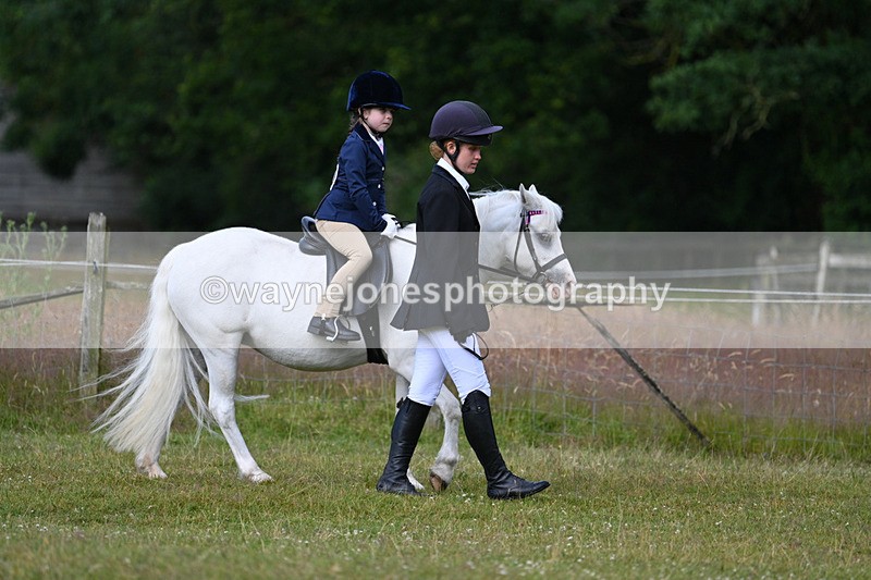 WJ7_4424 - Class 1 Lead Rein Pony