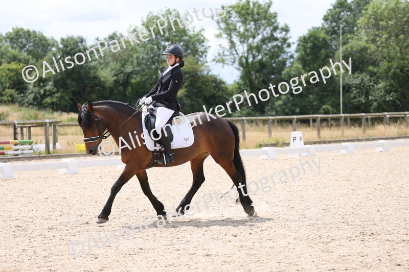 20250706-0467 - Class 17 - Elementary 5