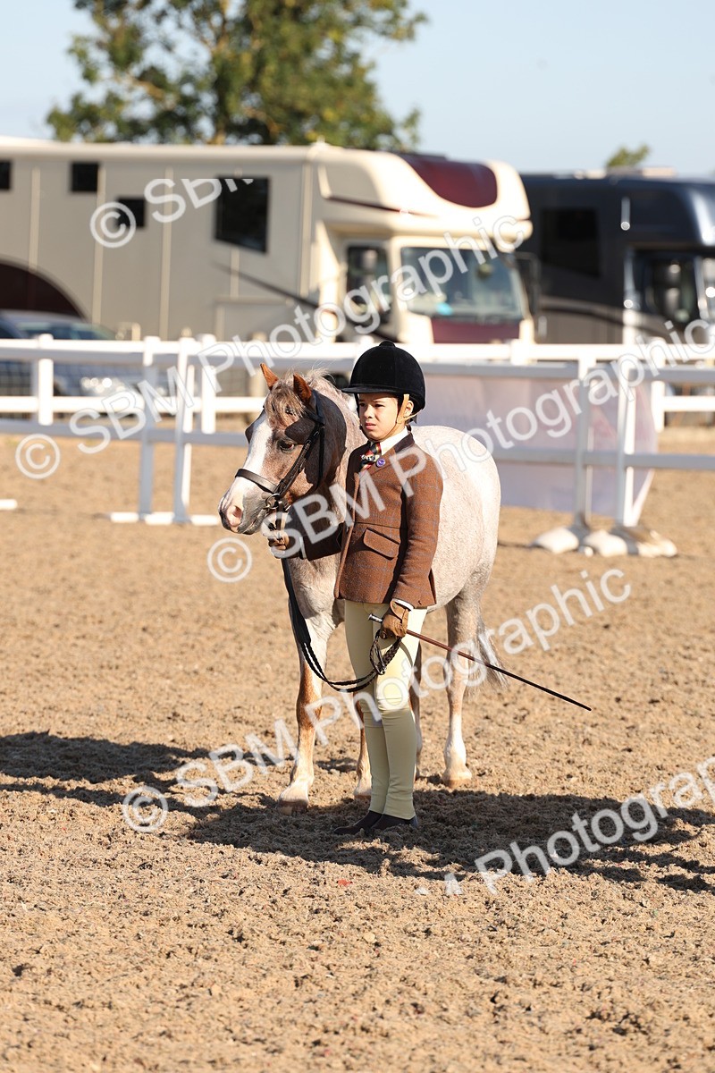 SBM_11666 - Class 203 - Young Handler 11 to 16 years
