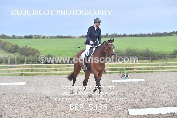 BPP_5466 - INTRO TEST 3