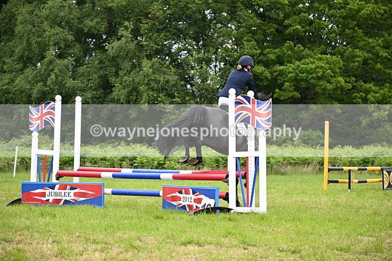 WJ6_5585 - Class 5 pairs 70cm