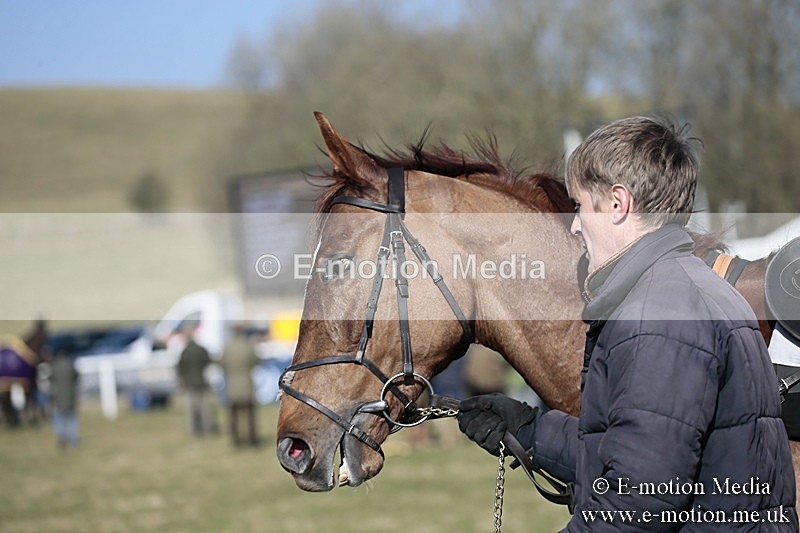 PtP 240218 113 - Vine & Craven Hunt Point-to-Point Barbury racecourse 24/02/18