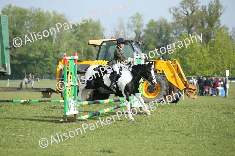 20260426-0022 - Class 13 - Rookie Jumping 50cm