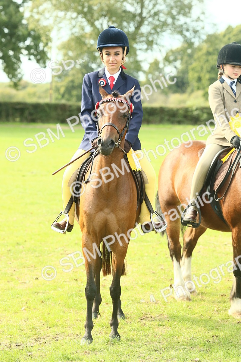 SBM_68160 - S57 - Part Bred Pony Ridden