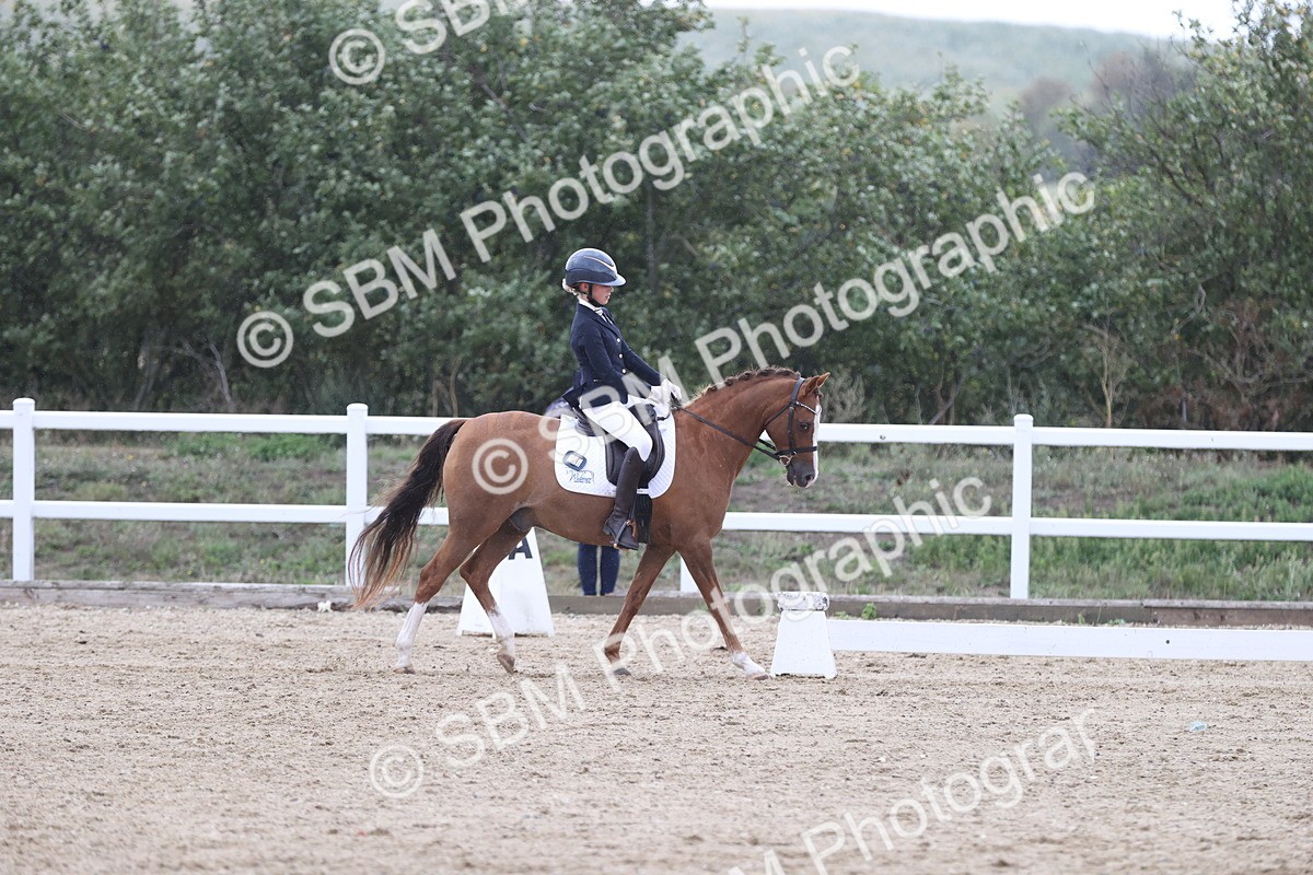 SBM_004318 - Class 9 - Novice 3 Champs