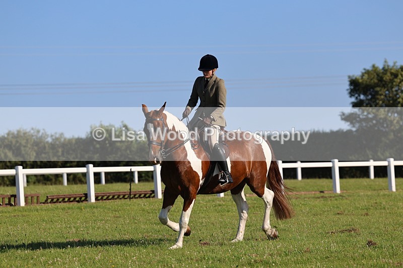 IMG_1271 - Class 27: Ridden Plaited Coloured Horse