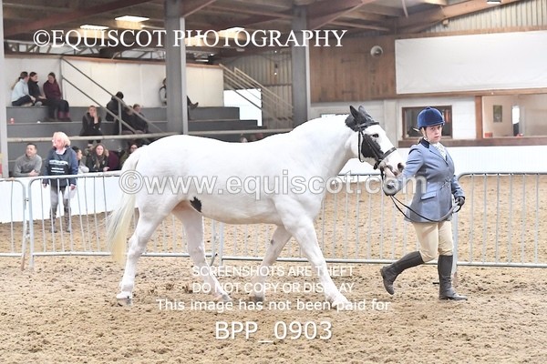 BPP_0903 - RING 2