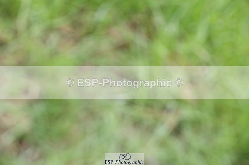 230827-114020-24071 - XC 11 to 12