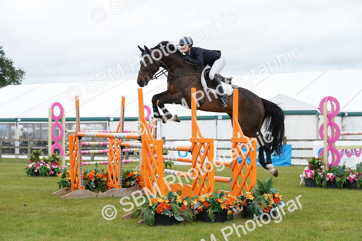 SBM_03064 - Class 201 - British Horse Feeds Speedi Beet Horse of the Year Show Grade  C