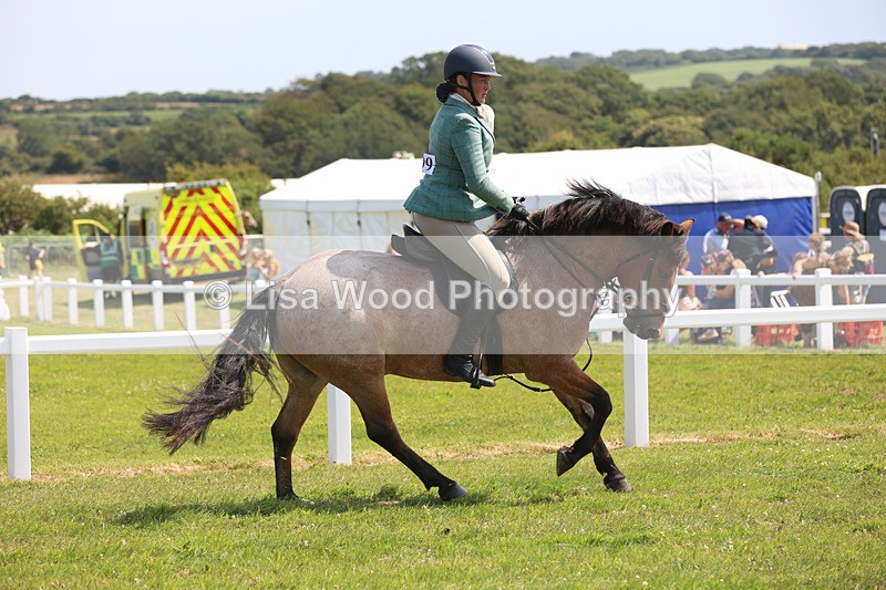 JPP_3347 - Class 22: Working Hunter 70cm