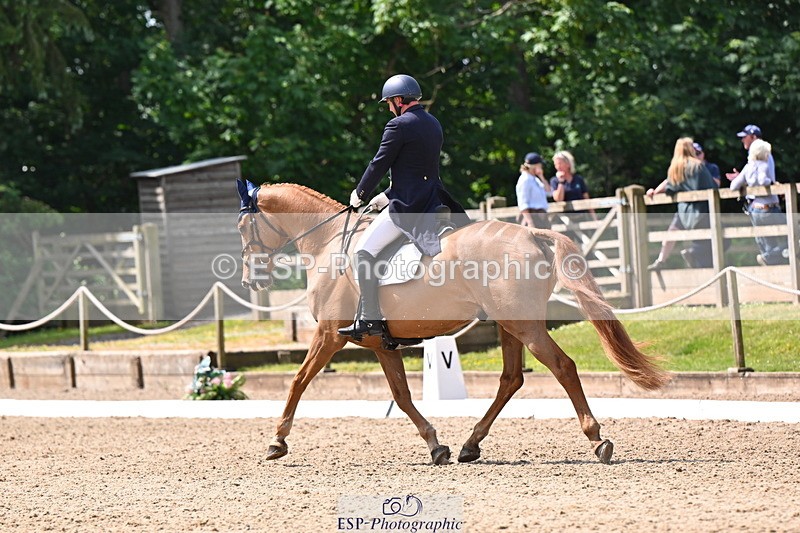 250523A-113542-06593 - C-273-Tim.Cheffings-HEARSAY.LARK.RISING