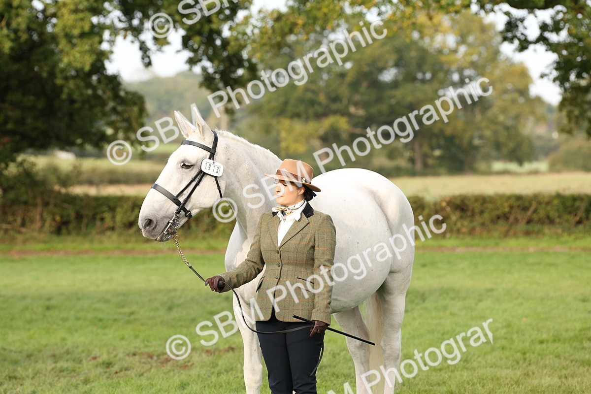 SBM_54710 - S53 - Hunter In Hand