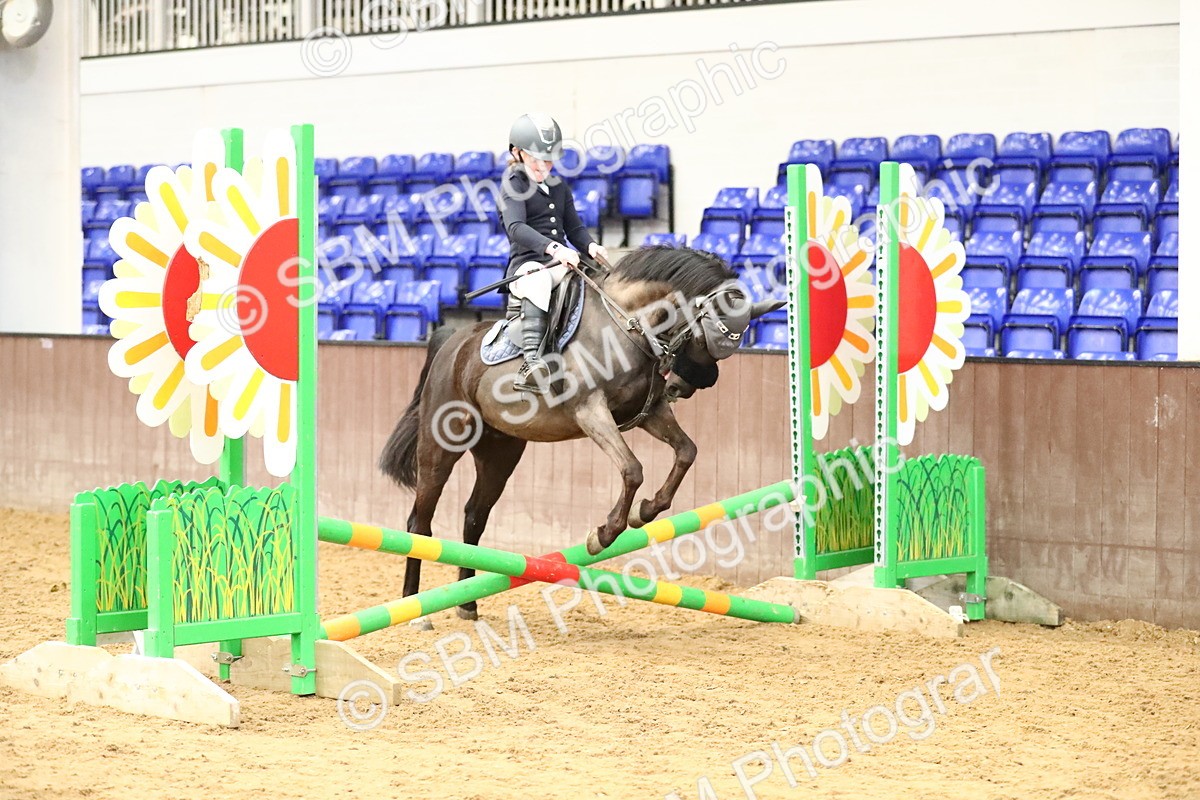 SBM_001263 - Class 3 - 50cm