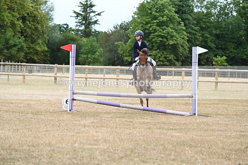 WJ6_0354 - Class 13 Novice Jumping 60cm