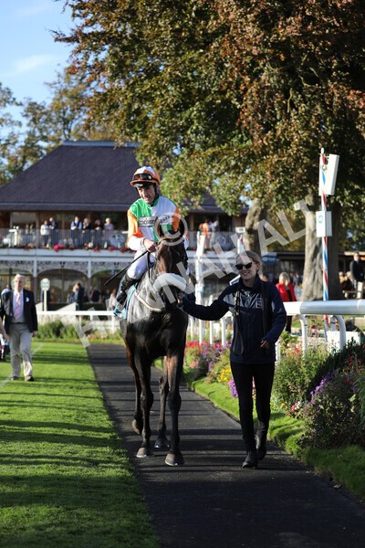 yr08102022r7-51 - Race 7 5.00pm The Coral Gets You Closer To The Action Stakes