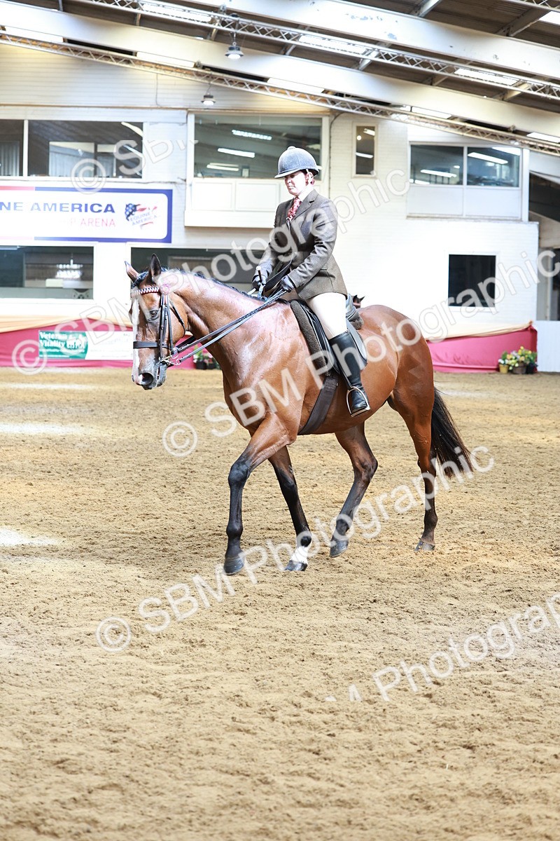 SBM_14902 - Class 108 - Ridden Retired Racehorse