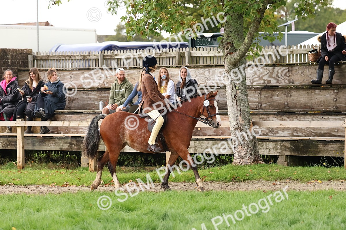 SBM_44933 - S27 - Young Veteran Ridden
