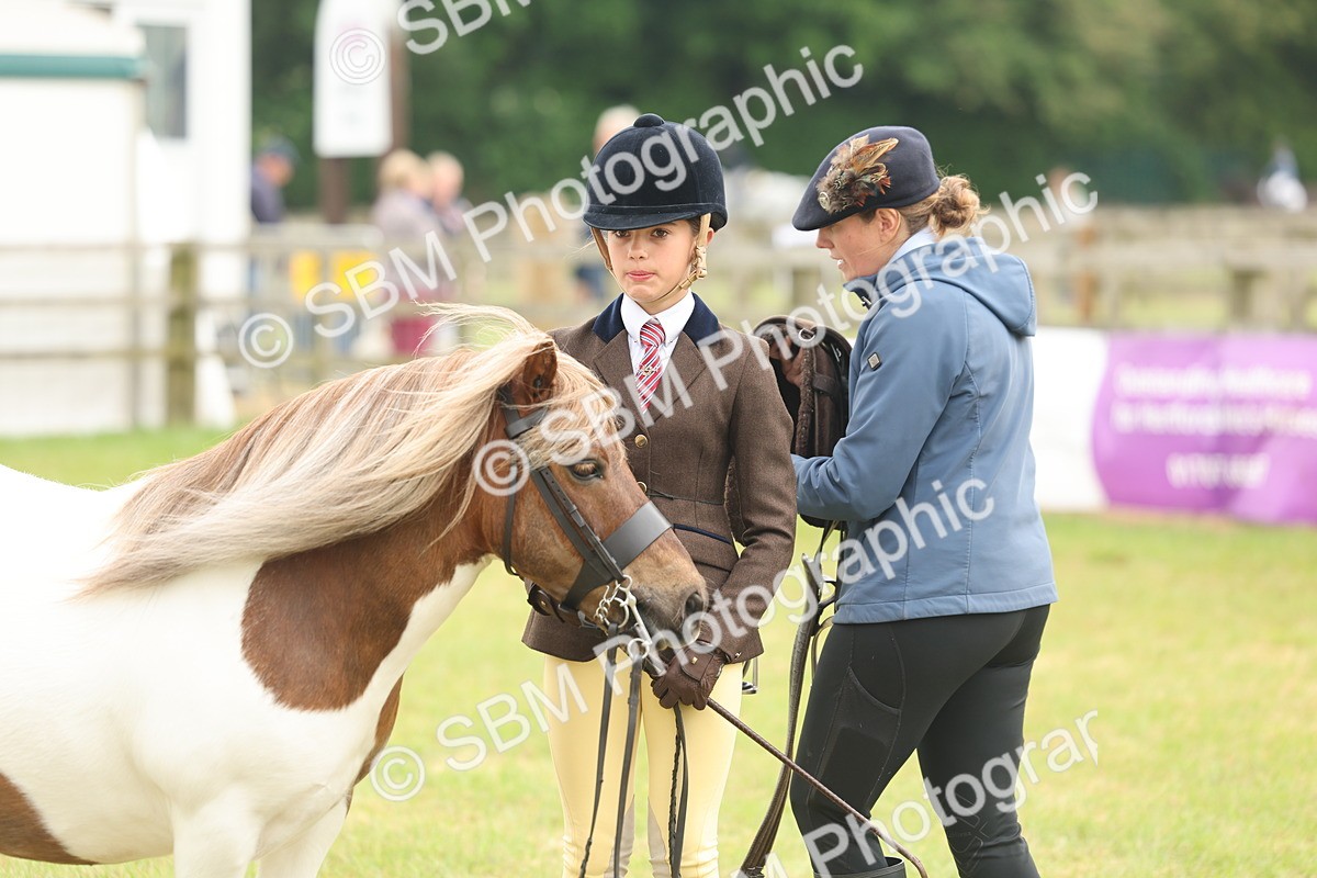 SBM_08902 - Class 78-80 - Ridden M&M Non Welsh Ponies