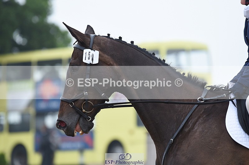 230708A-142418-03041 - Novice 24