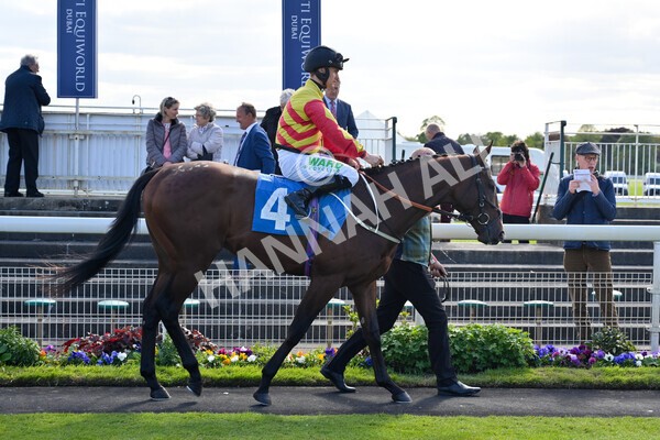 yr12052022r6-13 - Race 6 4.45pm Frank Whittle Partnership EBFstallions.com Maiden Stakes