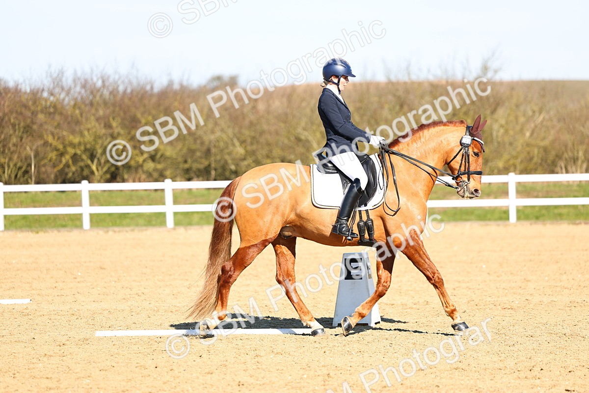 026A8513 - Class 2-6-5-4 - Paso Doble-Sevilla-Golega-Novato