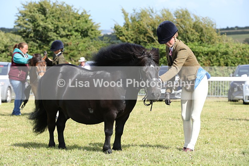 1X9A5625 - Class 39: NPS Dartmoor, Exmoor, Shetland