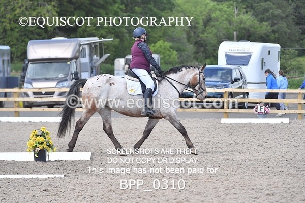 BPP_0310 - SHORT ARENA  MY QUEST PRELIM