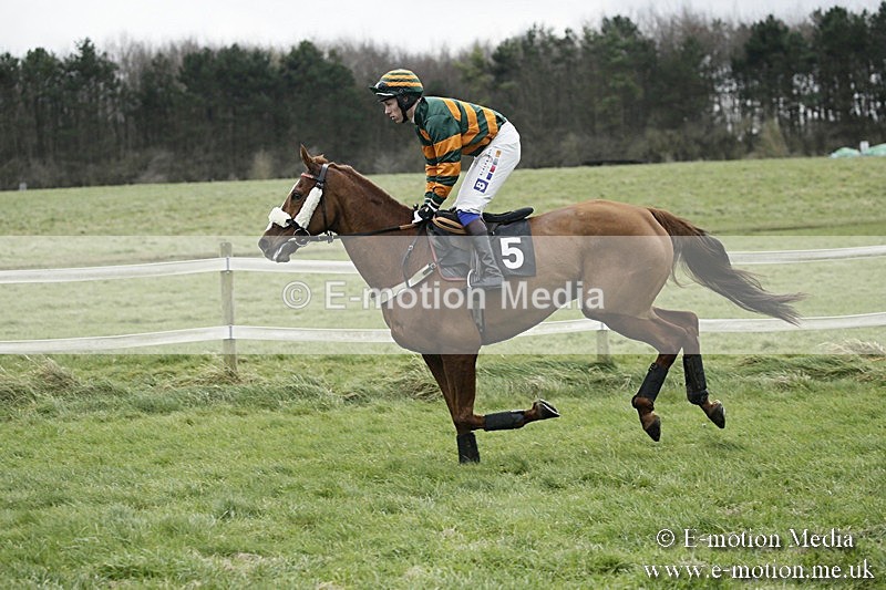 PtP 031217 222 - Hursley Hambledon Point-to-Point Larkhill 03/12/17