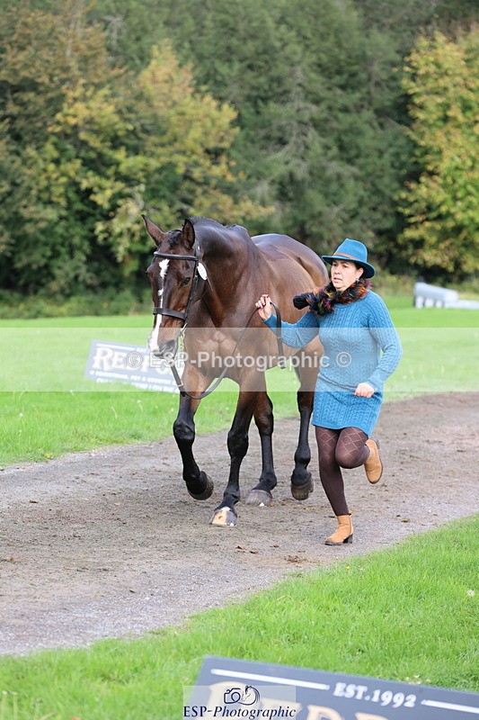 251026A-115613-25772 - G-518-Nicky.Ralph