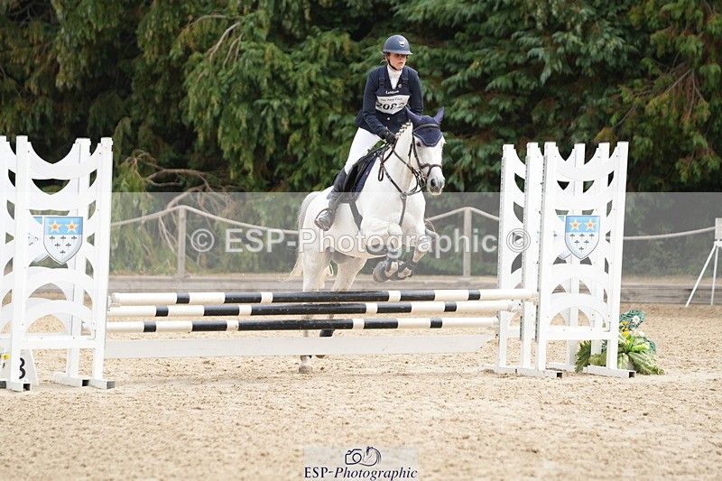 250824A-112603-35190 - 2082-Lisa.Plumb-Ringo