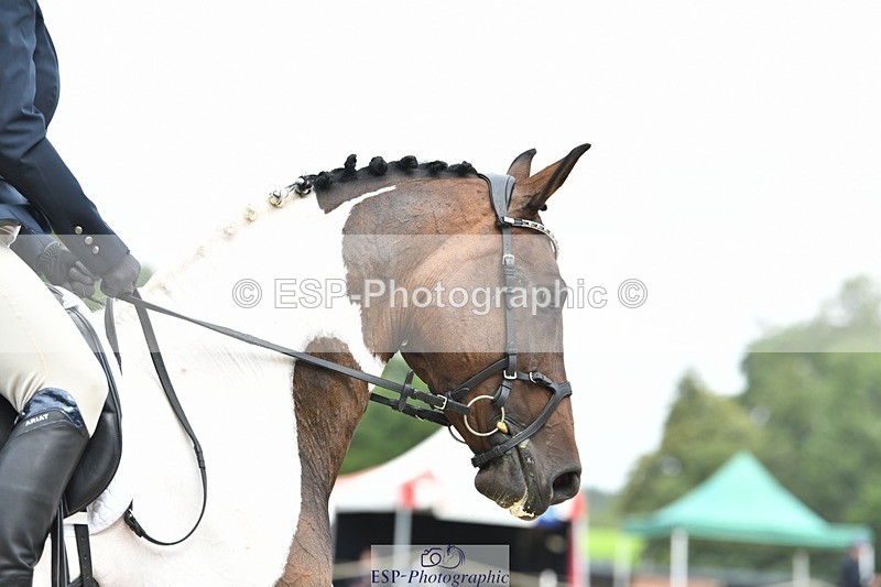 230812-095142-02875 - Cls 6 Novice Silver Start to 10.20 break