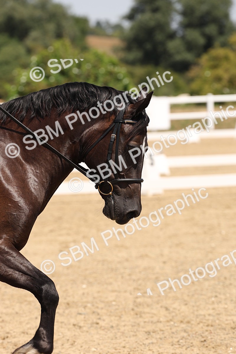 SBM_004917 - Prelim 4 - 13.34-15.39