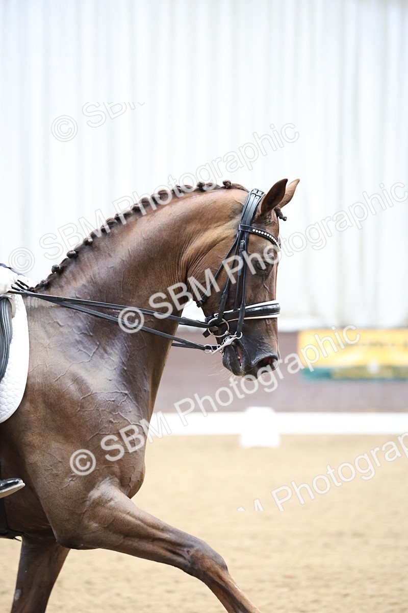 SBM_004815 - Class 9 - FEI Inter 1 Gold - 16.59-17.47