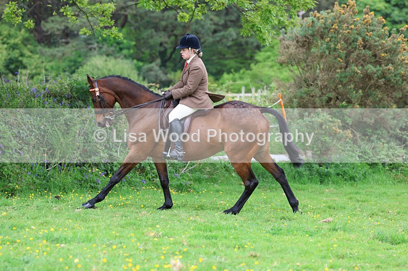 3E7A2010 - Class 10: Ridden Sports Horse