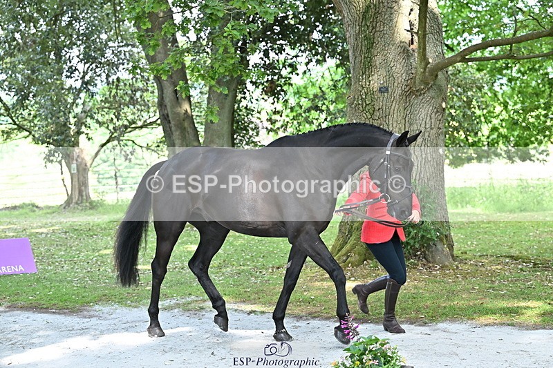 250521A-151418-00361 - B-304-Katie.Magee-CUSHLAS.INDIGO
