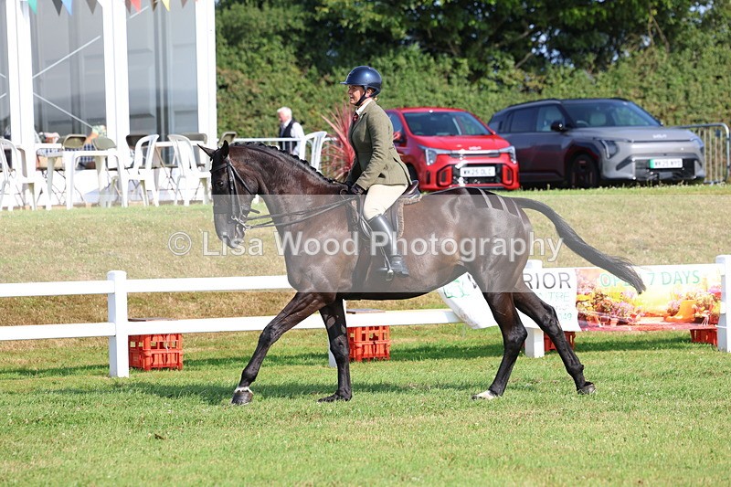 3E7A8605 - Class 3: Rising Star S/L Hunter