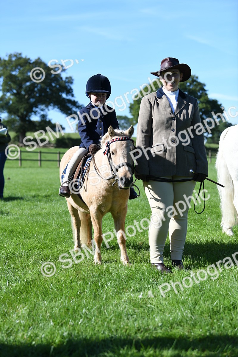 SBM_36959 - S18 - Novice & Newcomers Lead Rein Pony
