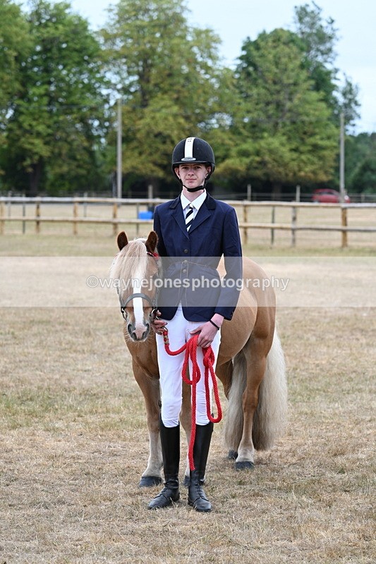 WJ7_0239 - Gelding Champs