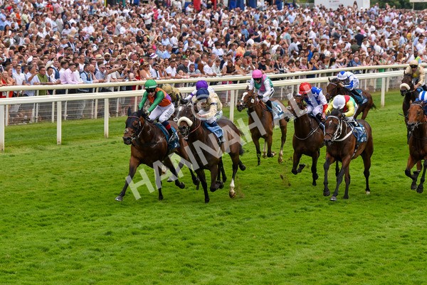 170623-Race 4-Quinault-7088 - Race 4 3.40pm Oakmere Homes Supporting Macmillan Sprint Handicap