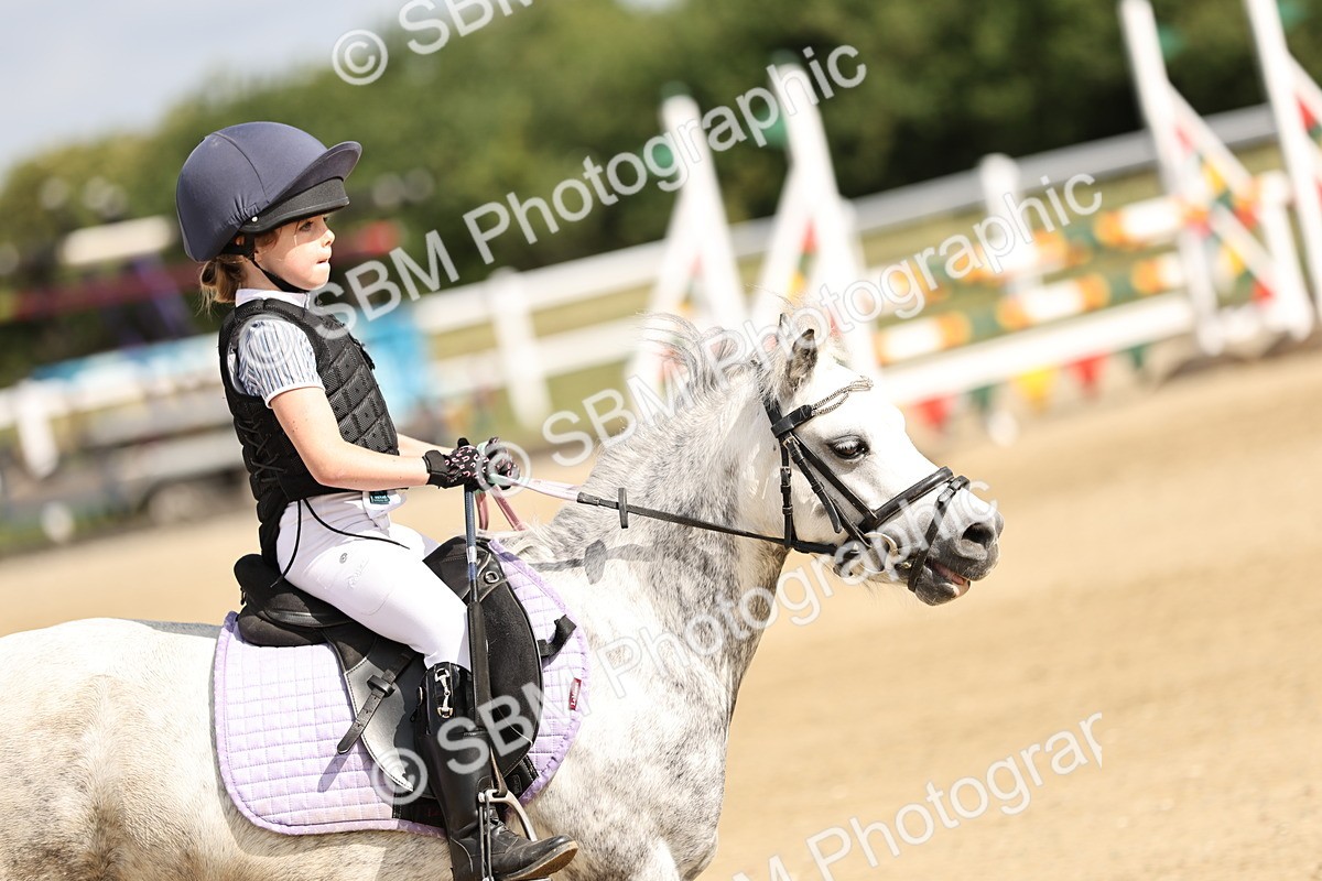 SBM_003482 - 50cm showjumping