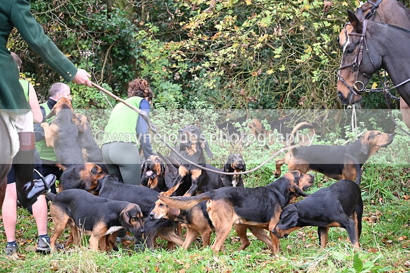WJ6_8534 - Meet